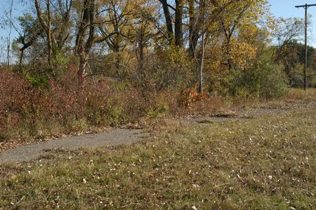 Jackson Drive-In Theatre - Driveway